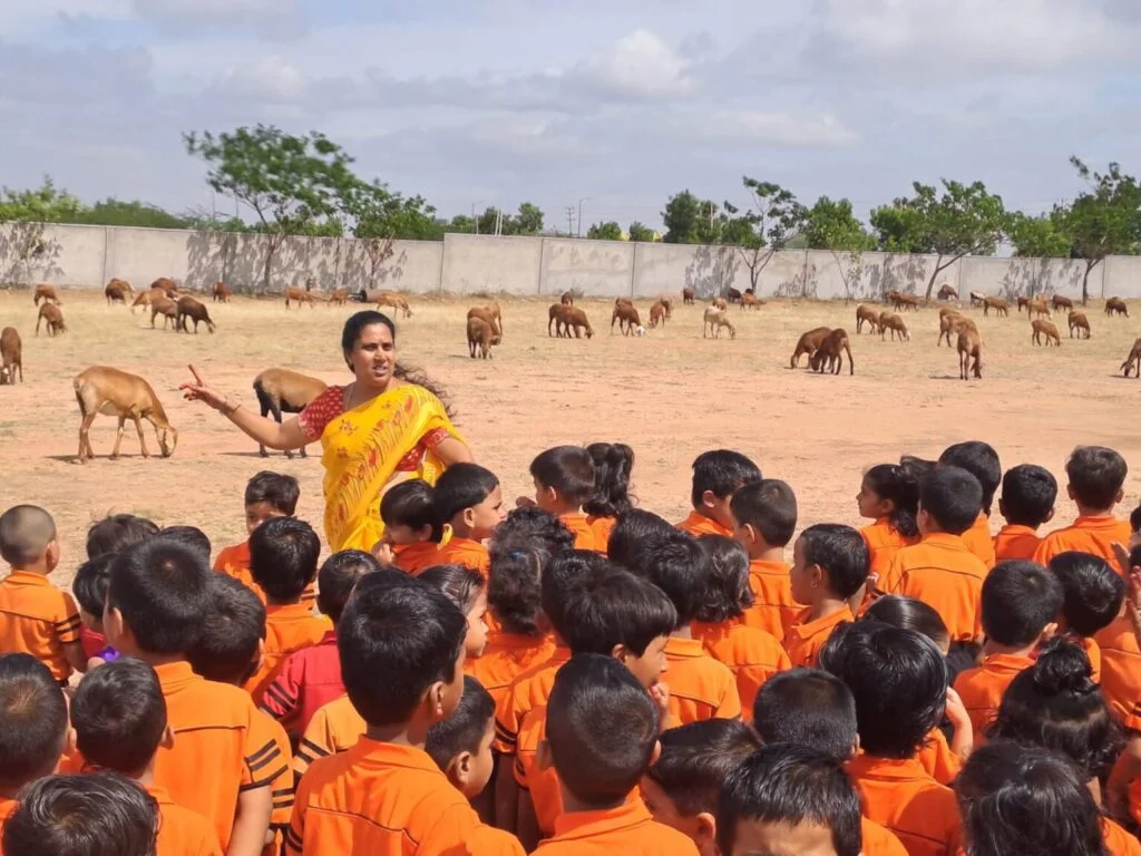 Field Trip - Photo 47