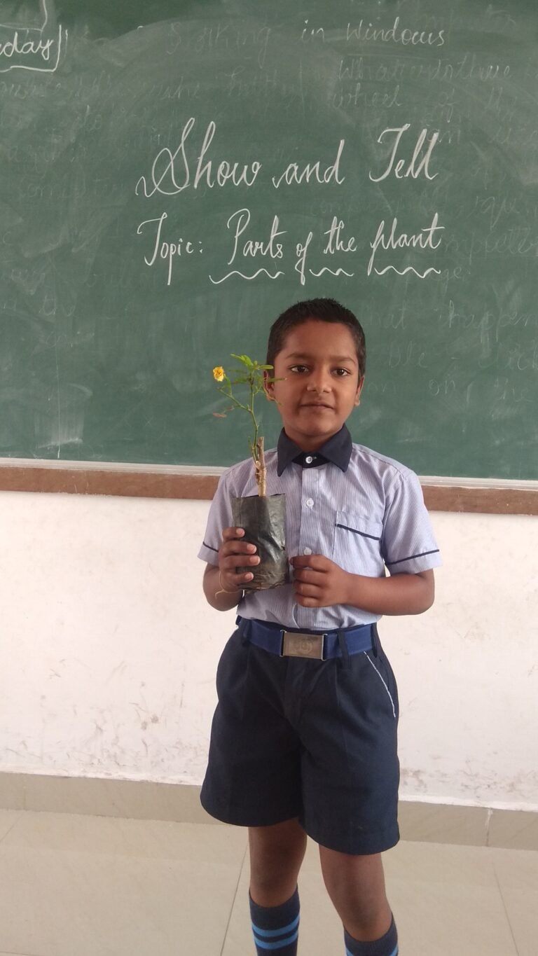 Activities - Photo 82