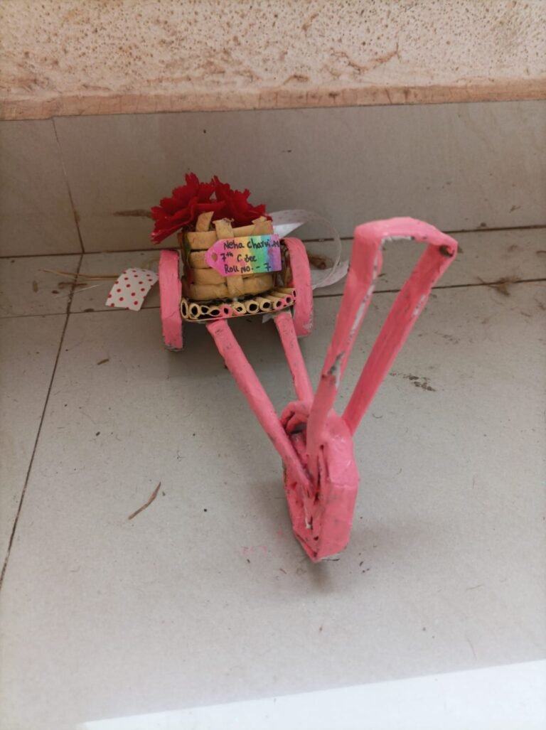 Activities - Photo 51